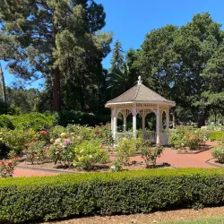 Central Park - Foster City