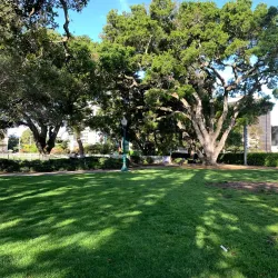 Central Park - Foster City