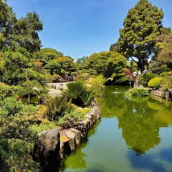 Central Park - Foster City