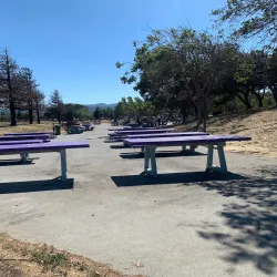 Coyote Point Recreation Area - Foster City