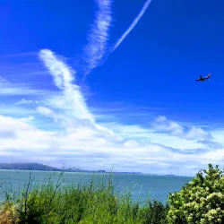 Coyote Point Recreation Area - Foster City