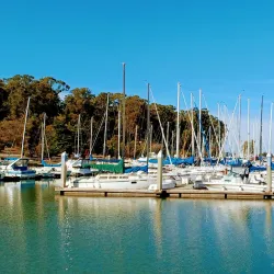 Coyote Point Recreation Area - Foster City