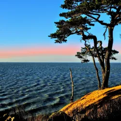 Coyote Point Recreation Area - Foster City