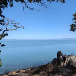 Coyote Point Recreation Area - Foster City