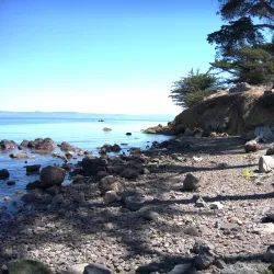 Coyote Point Recreation Area - Foster City