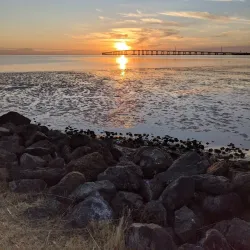 Foster City Golf Course - Foster City