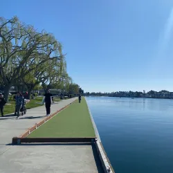 Foster City Skate Park - Foster City