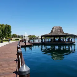 Leo J. Ryan Memorial Park - Foster City