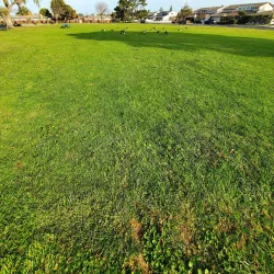 Marina Park - Foster City