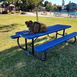 Marina Park - Foster City