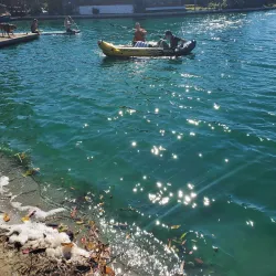 Marina Park - Foster City