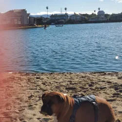 Marina Park - Foster City