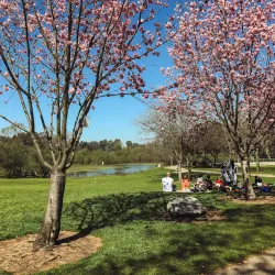 Huntington Beach Central Park - Fountain Valley