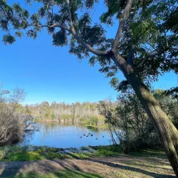 Huntington Beach Central Park - Fountain Valley