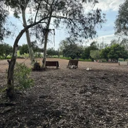 Huntington Beach Central Park - Fountain Valley