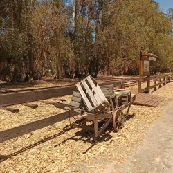 Ardenwood Historic Farm - Fremont