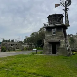 Ardenwood Historic Farm - Fremont