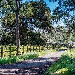 Ardenwood Historic Farm - Fremont