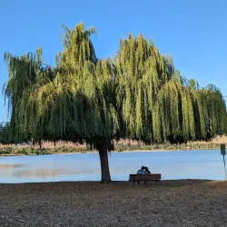 Central Park - Fremont