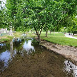 Central Park - Fremont