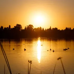 Central Park - Fremont