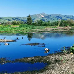 Central Park - Fremont