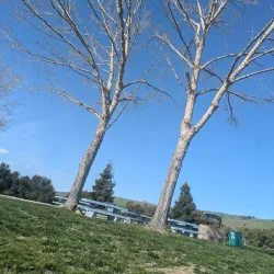 Central Park - Fremont