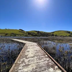 Coyote Hills Regional Park - Fremont