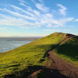 Coyote Hills Regional Park - Fremont
