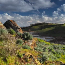 Coyote Hills Regional Park - Fremont