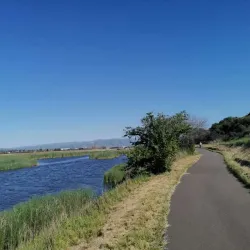 Coyote Hills Regional Park - Fremont