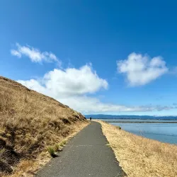 Coyote Hills Regional Park - Fremont