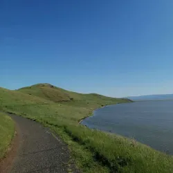 Coyote Hills Regional Park - Fremont