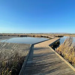 Coyote Hills Regional Park - Fremont