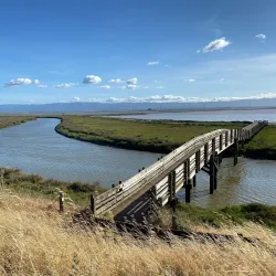 Don Edwards San Francisco Bay National Wildlife Refuge - Fremont