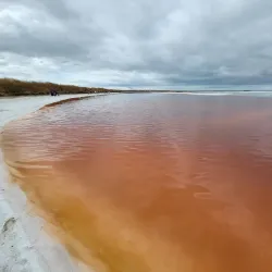 Don Edwards San Francisco Bay National Wildlife Refuge - Fremont