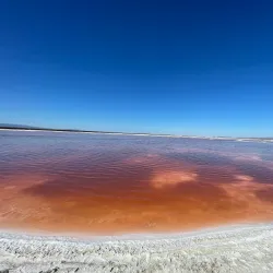 Don Edwards San Francisco Bay National Wildlife Refuge - Fremont