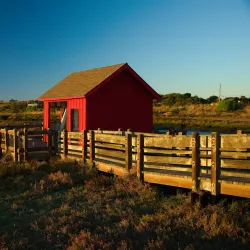 Don Edwards San Francisco Bay National Wildlife Refuge - Fremont