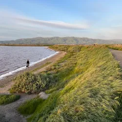 Don Edwards San Francisco Bay National Wildlife Refuge - Fremont