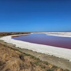 Don Edwards San Francisco Bay National Wildlife Refuge - Fremont