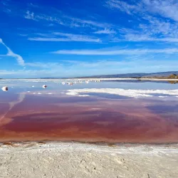 Don Edwards San Francisco Bay National Wildlife Refuge - Fremont