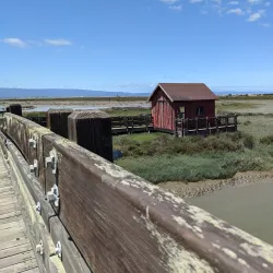Don Edwards San Francisco Bay National Wildlife Refuge - Fremont