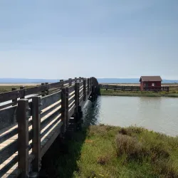 Don Edwards San Francisco Bay National Wildlife Refuge - Fremont