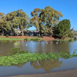 Lake Elizabeth/Central Park Lagoon - Fremont