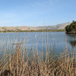Lake Elizabeth/Central Park Lagoon - Fremont