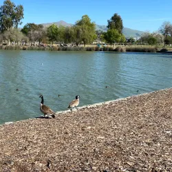Lake Elizabeth/Central Park Lagoon - Fremont