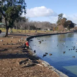 Lake Elizabeth/Central Park Lagoon - Fremont
