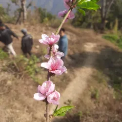 Mission San José - Fremont