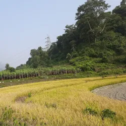 Mission San José - Fremont