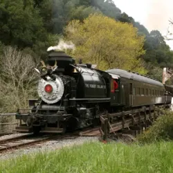 Niles Canyon Railway - Fremont